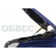 Амортизаторы капота Автоупор, 2 шт. для Skoda Karoq 2020-2021
